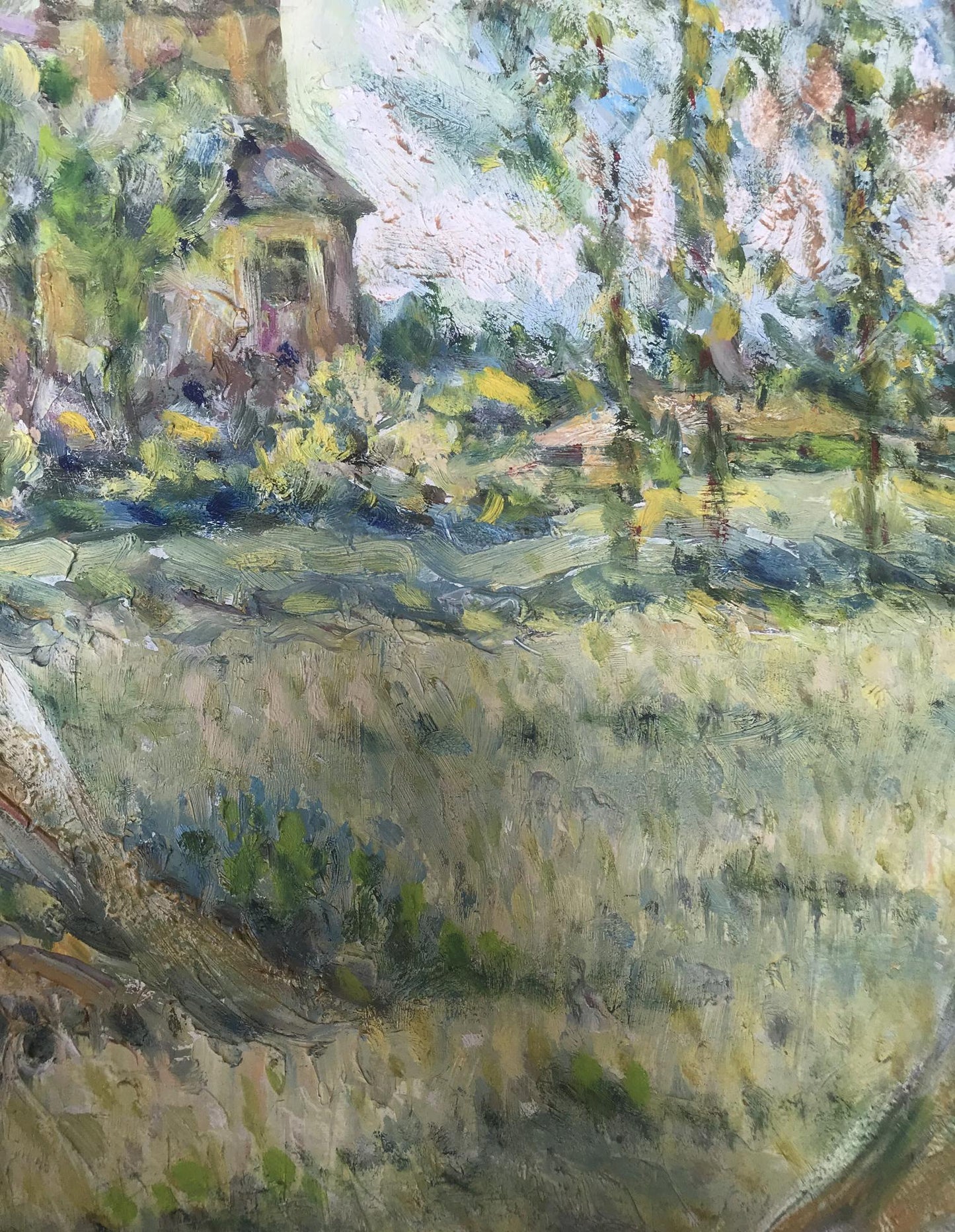 Nature Landscape 
