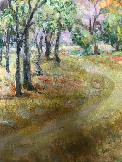 Nature Landscape 
