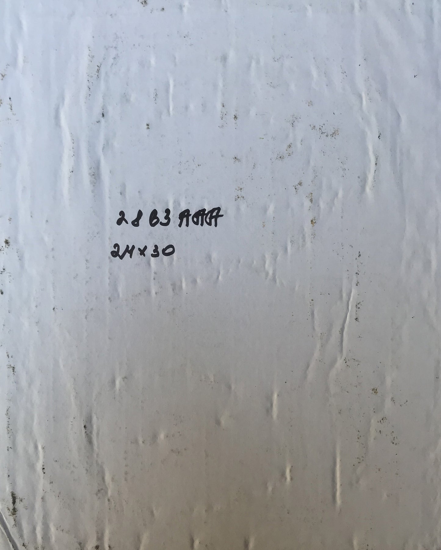 Back of oil painting portrait of General Alexander Arkadievich Litvinov on white textured surface with handwritten markings