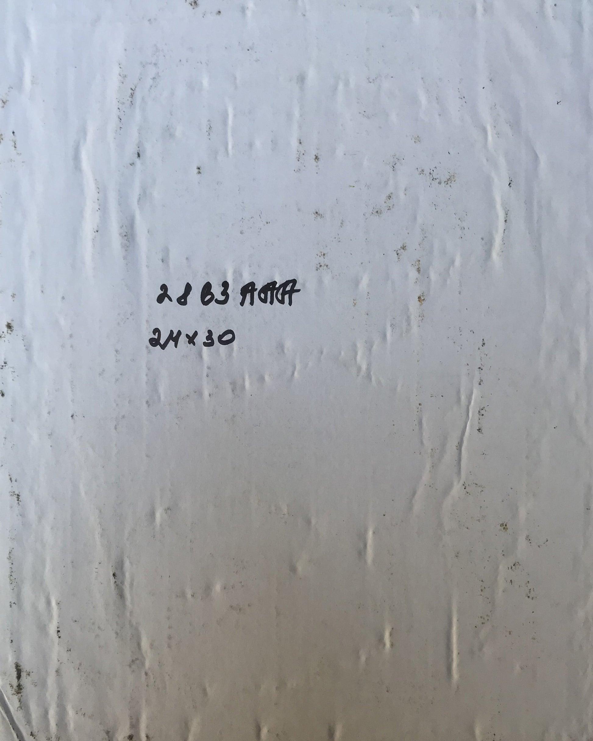 Back of oil painting portrait of General Alexander Arkadievich Litvinov on white textured surface with handwritten markings