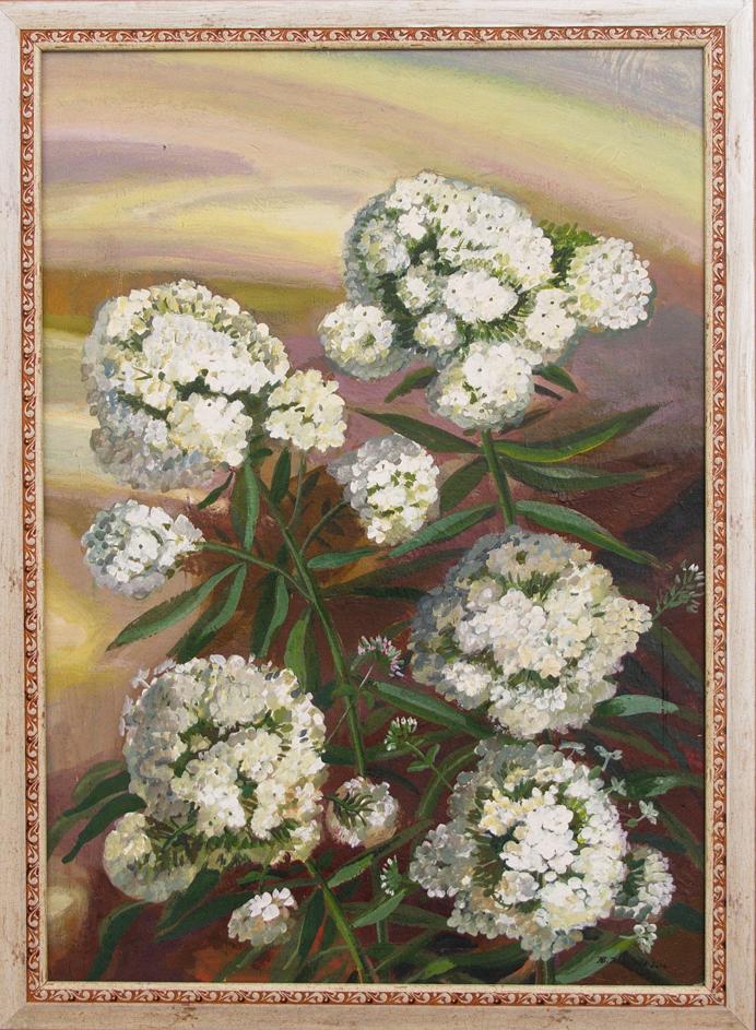 Framed Tempera painting of white phlox by Yushkov Svatoslav