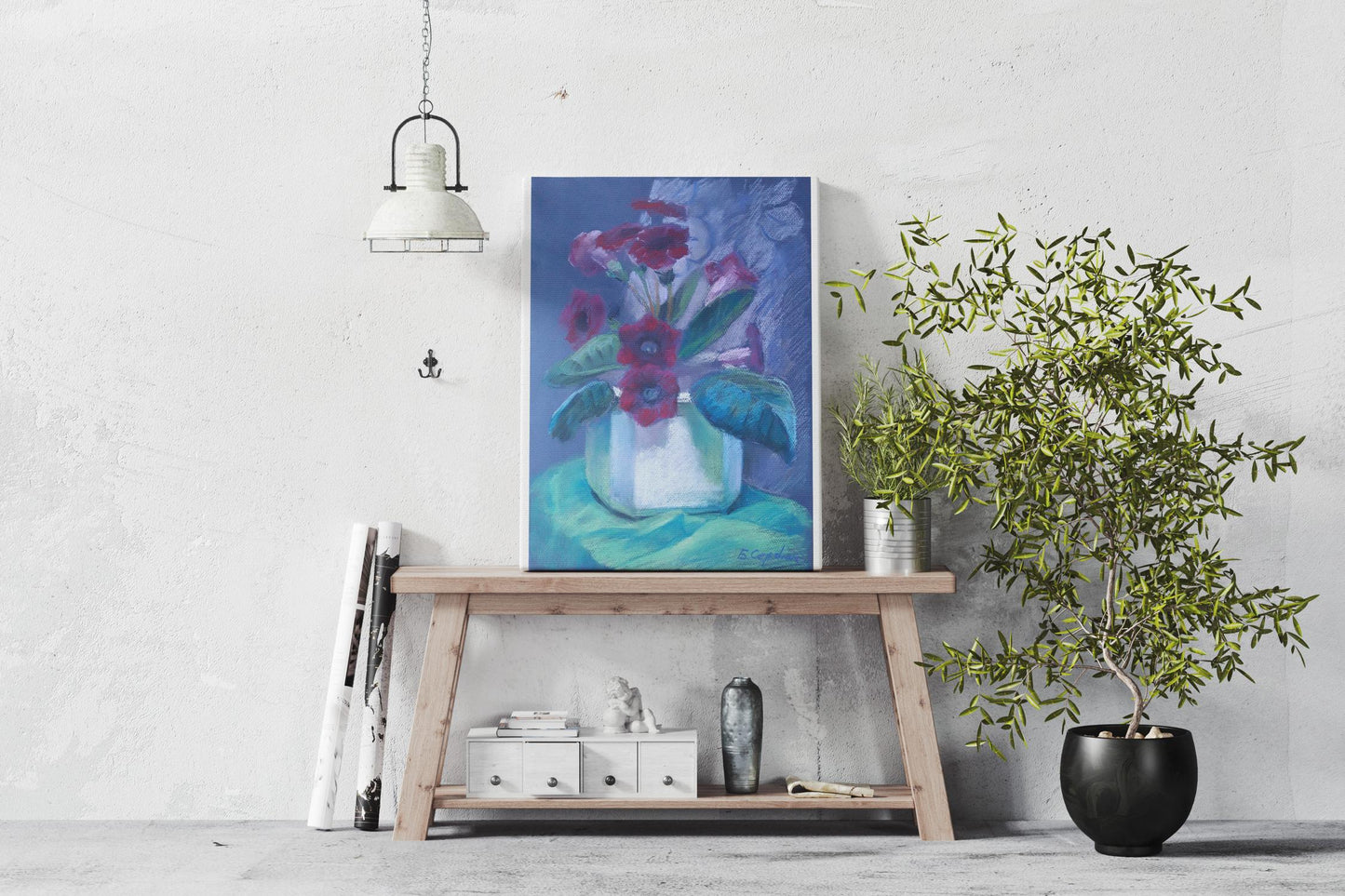 Gloxinia 