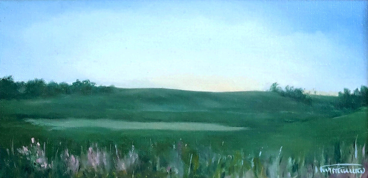 Serene oil painting by Korkishko Vasily: Dnieper outskirts with green hills, pond, pastel skies