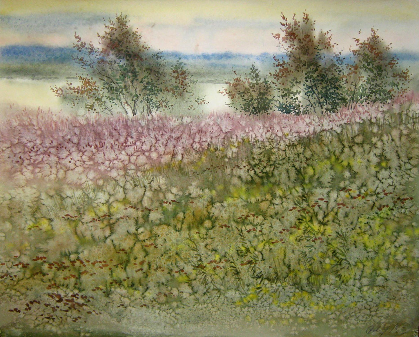 Watercolor painting The grass is blooming Savenets Valery