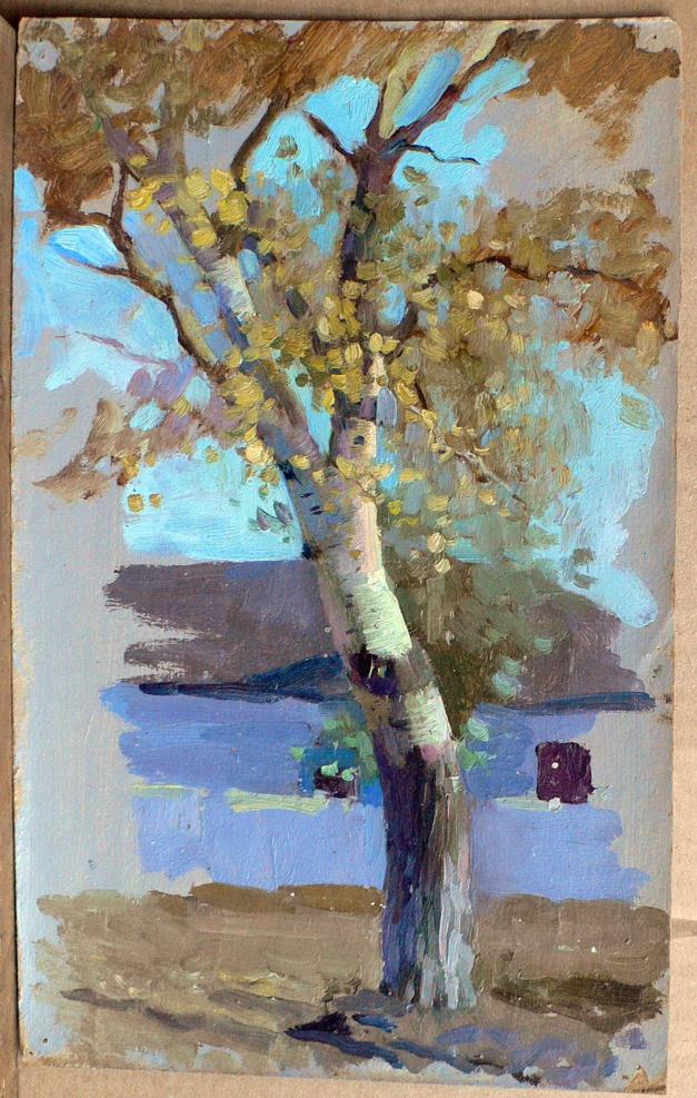 Oil painting Etude by Rodzyn Nikolay Ivanovich: impressionistic birch tree