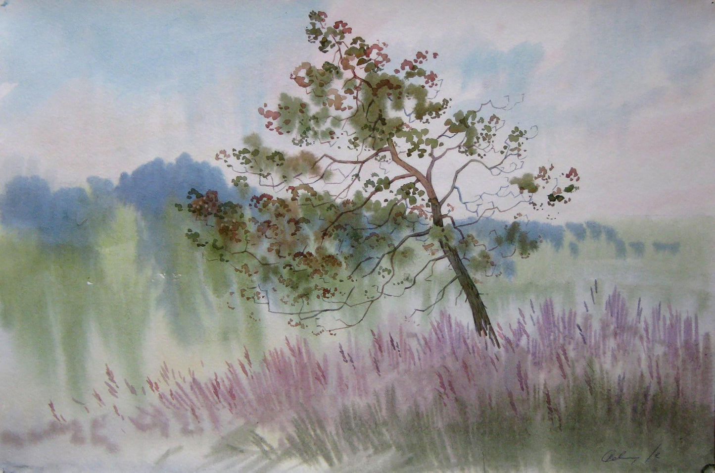 Watercolor painting Morning. Blooming Sally Savenets Valery