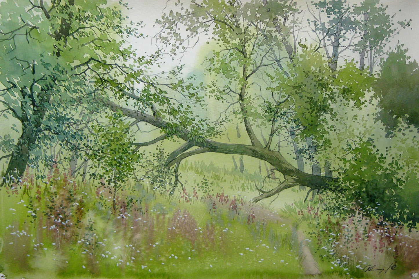 Watercolor painting Fallen tree Savenets Valery
