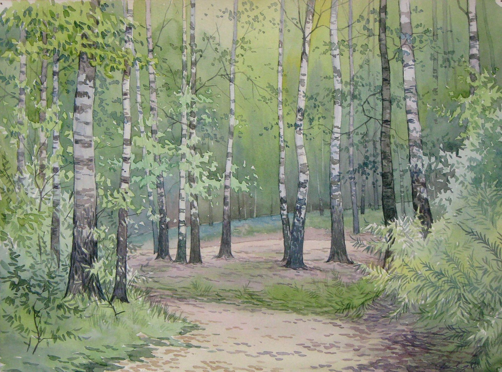 Watercolor painting Road to the birch forest Valery Savenets