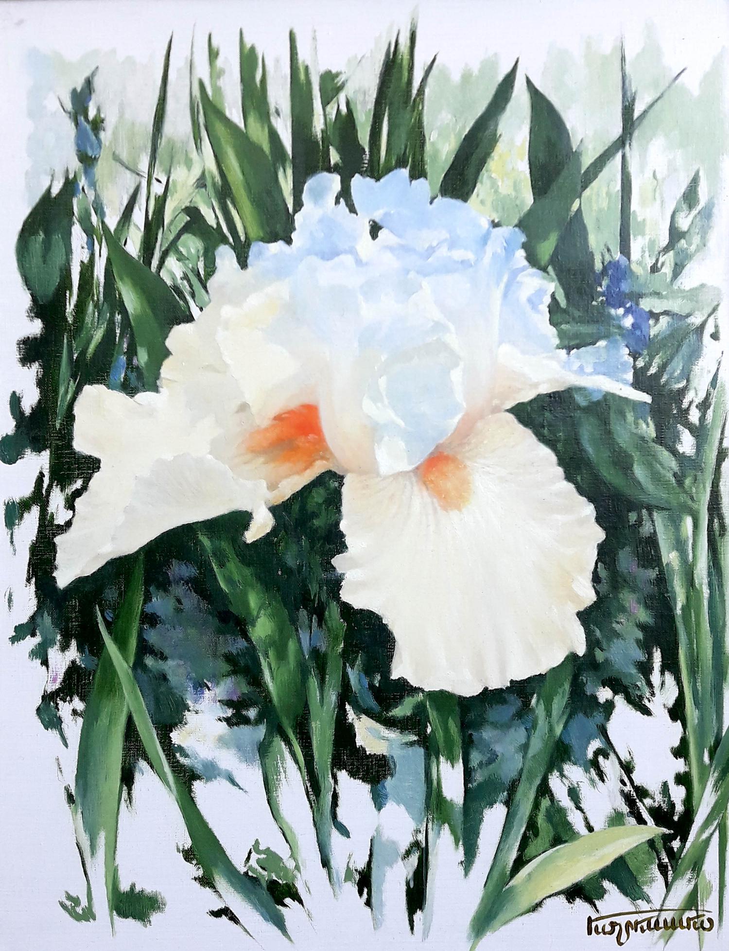 Delicate watercolor white iris with orange centers by Korkishko Vasily oil painting