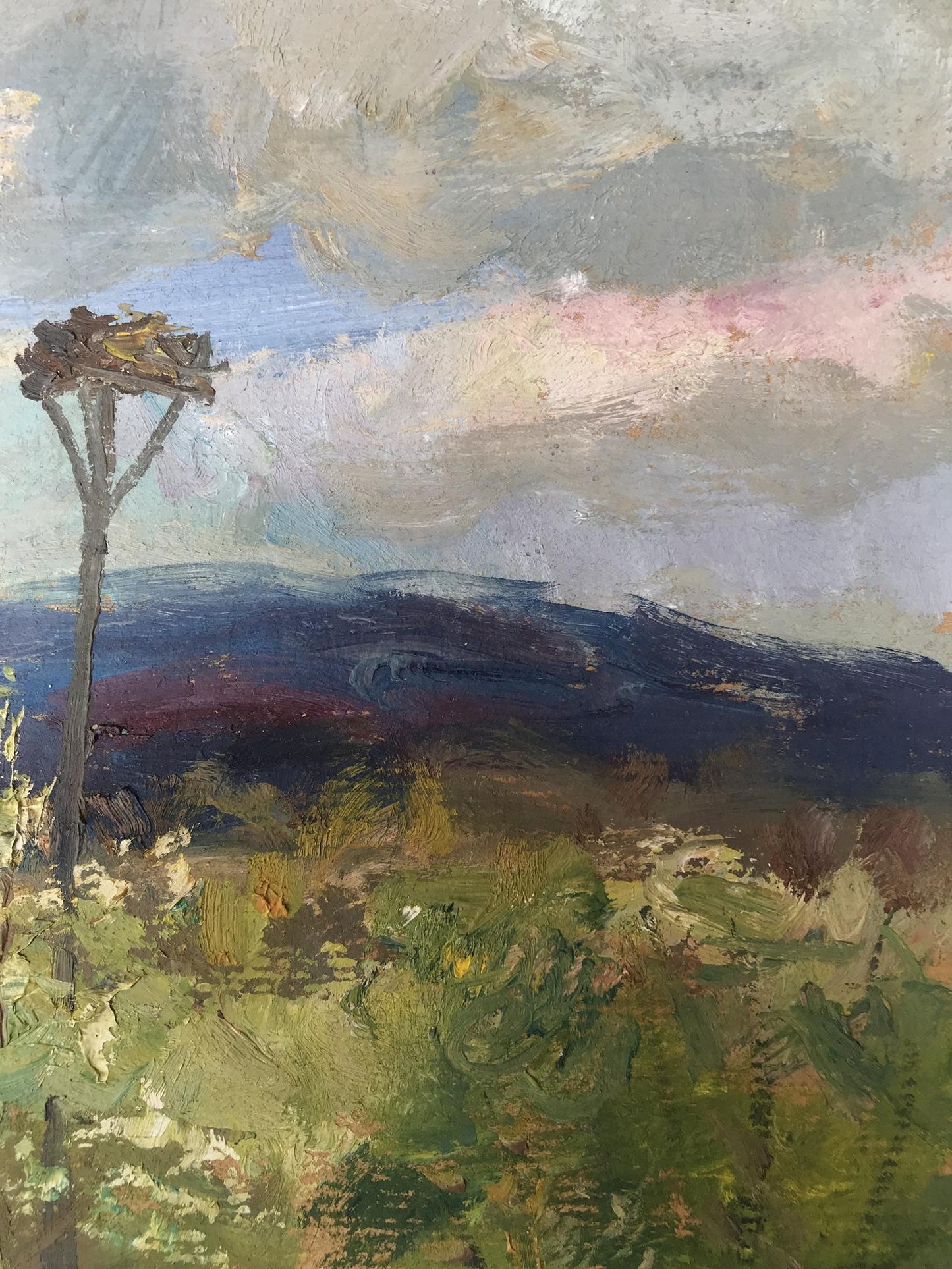Rural landscape 