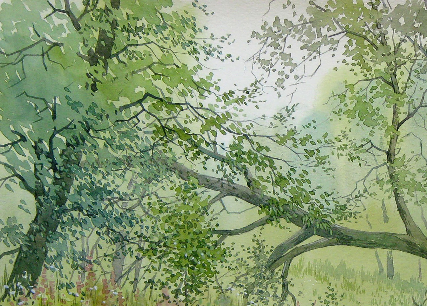 Watercolor painting Nature Landscape Savenets Valery