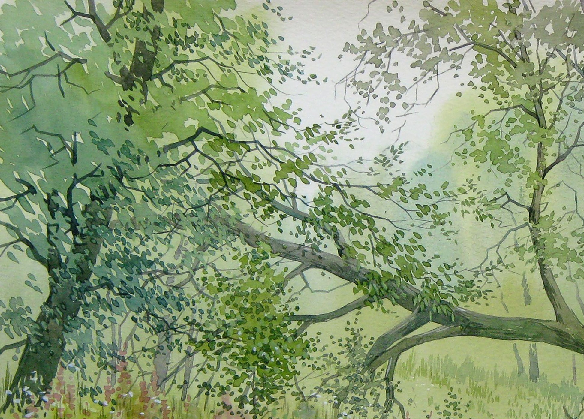 Watercolor painting Nature Landscape Savenets Valery