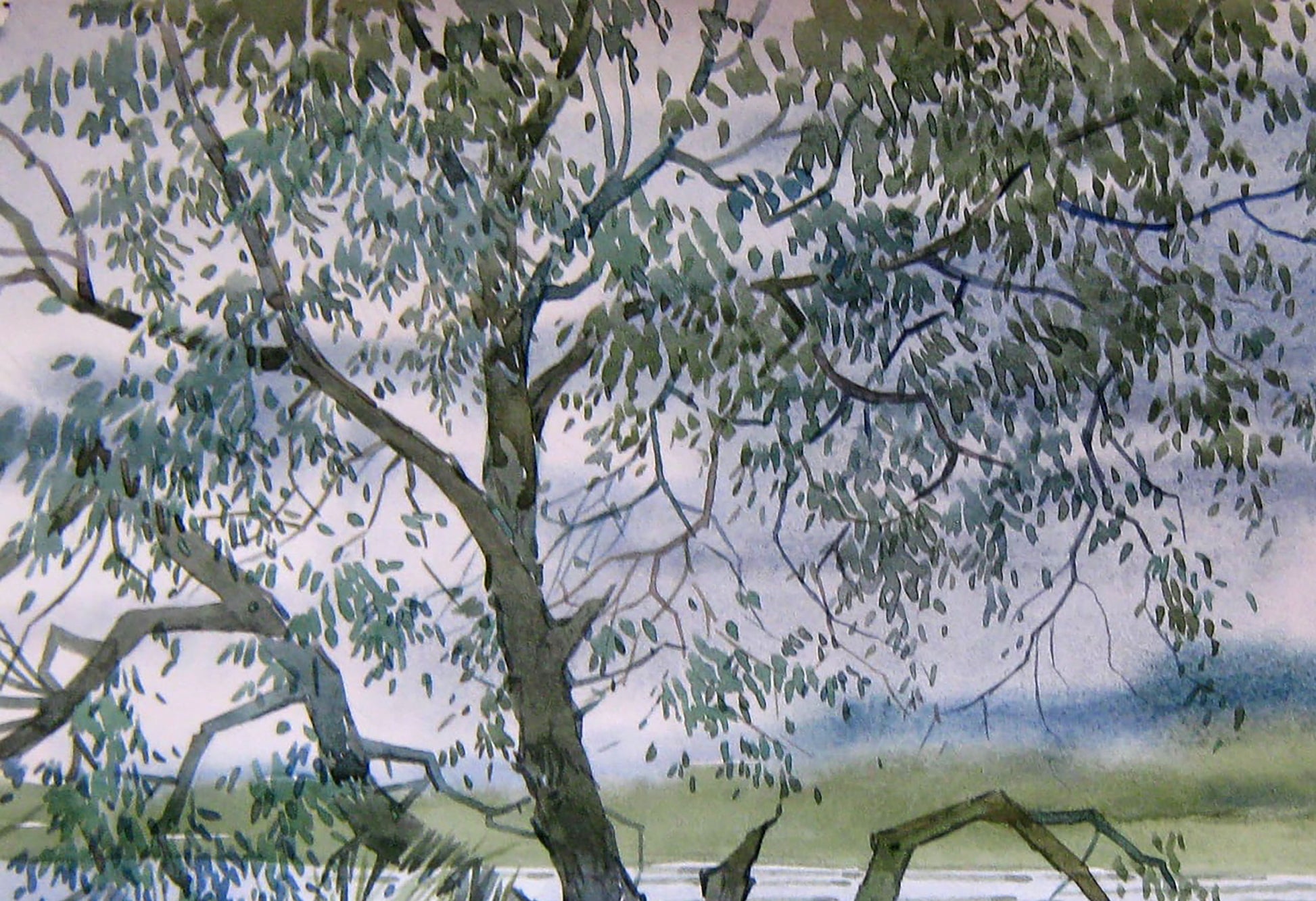 Watercolor painting Nature Landscape Savenets Valery