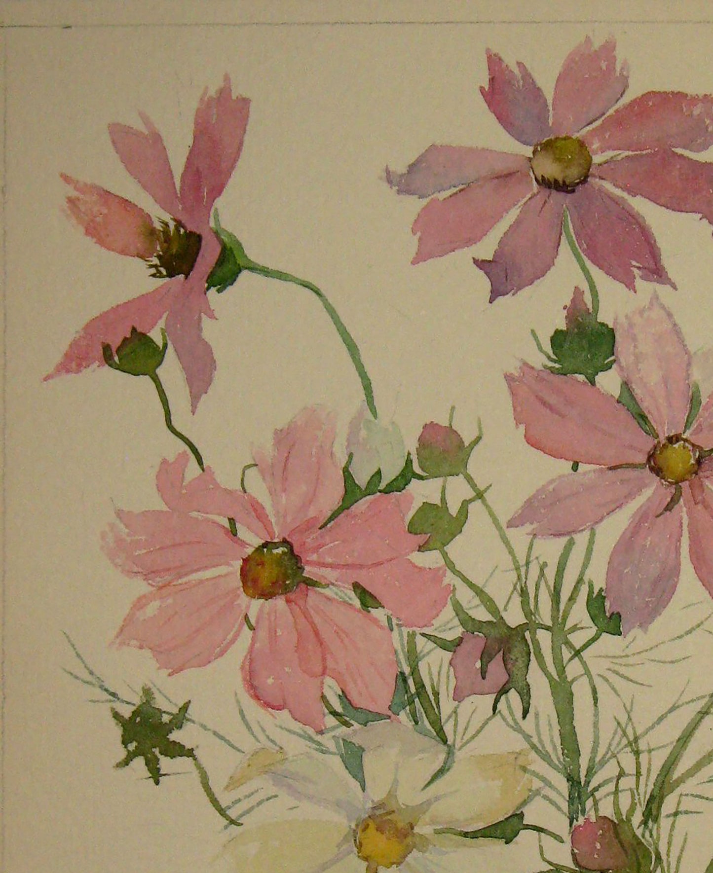 Watercolor painting Peonies Flowers  Savenets Valery