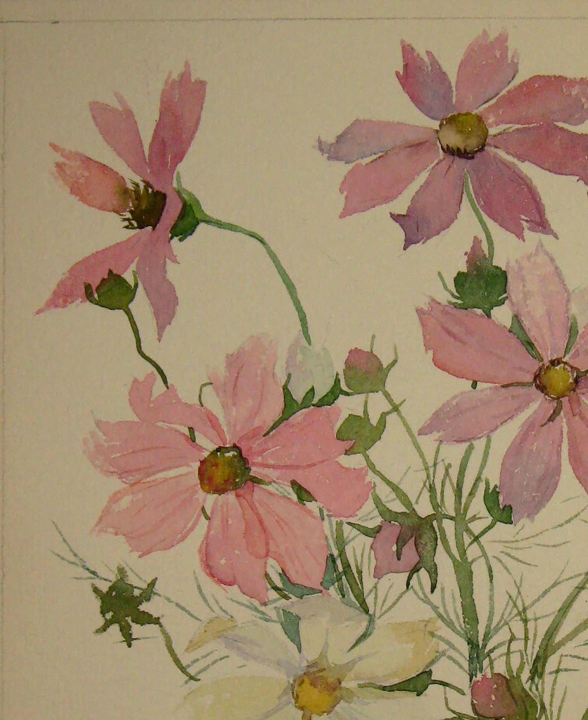 Watercolor painting Peonies Flowers  Savenets Valery