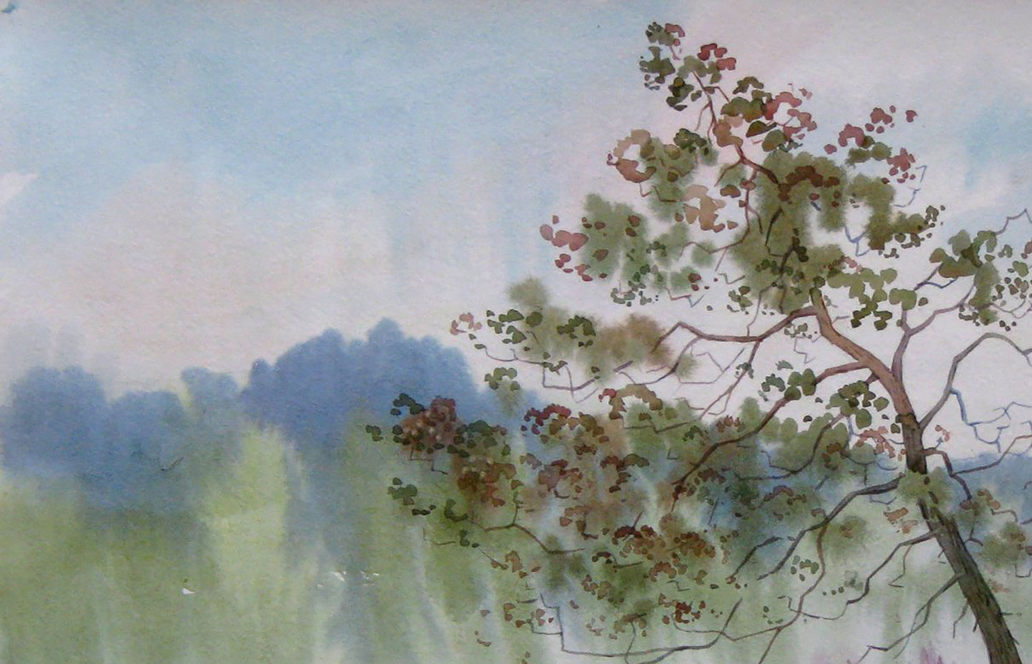 Watercolor painting Morning. Nature Landscape Savenets Valery