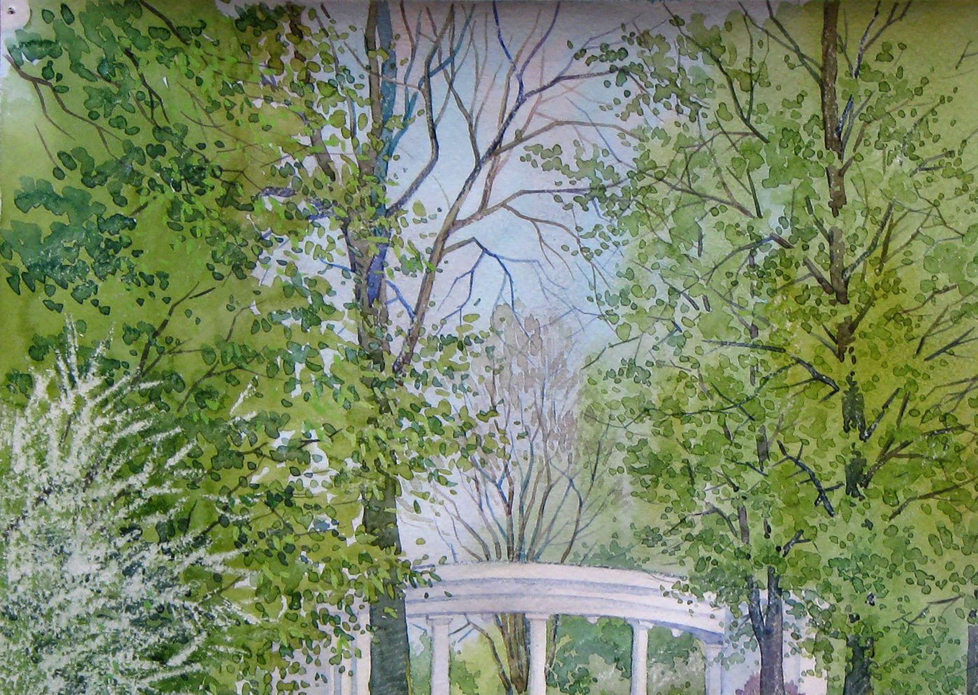Watercolor painting Nature Landscape Savenets Valery