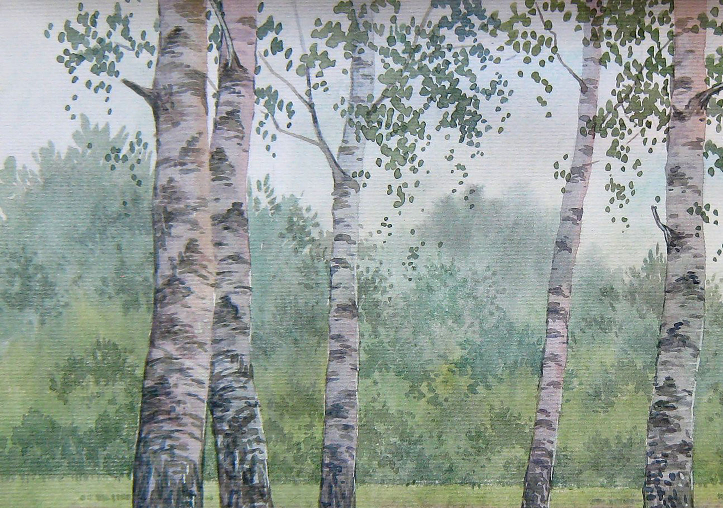 Watercolor painting Birch thicket Nature Landscape Savenets Valery