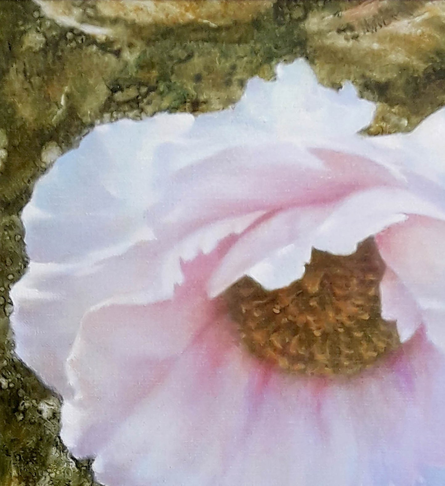 Delicate pink tree peony oil painting by Korkishko Vasily