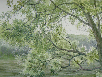 Watercolor painting Nature Landscape Savenets Valery