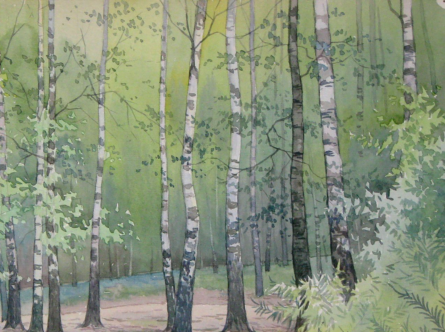 Summer Nature Landscape 