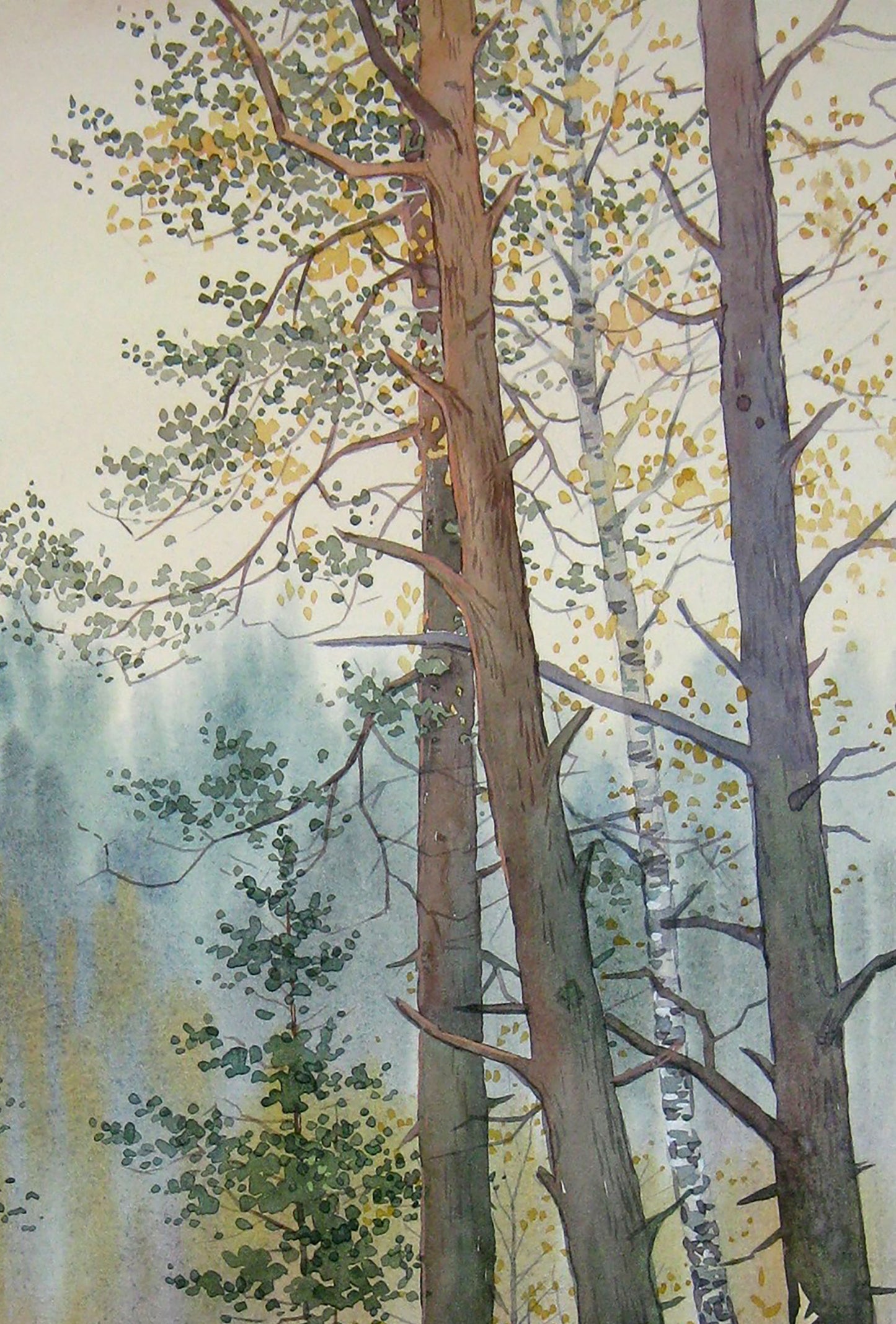 Watercolor painting Autumn Forest Nature Landscape 