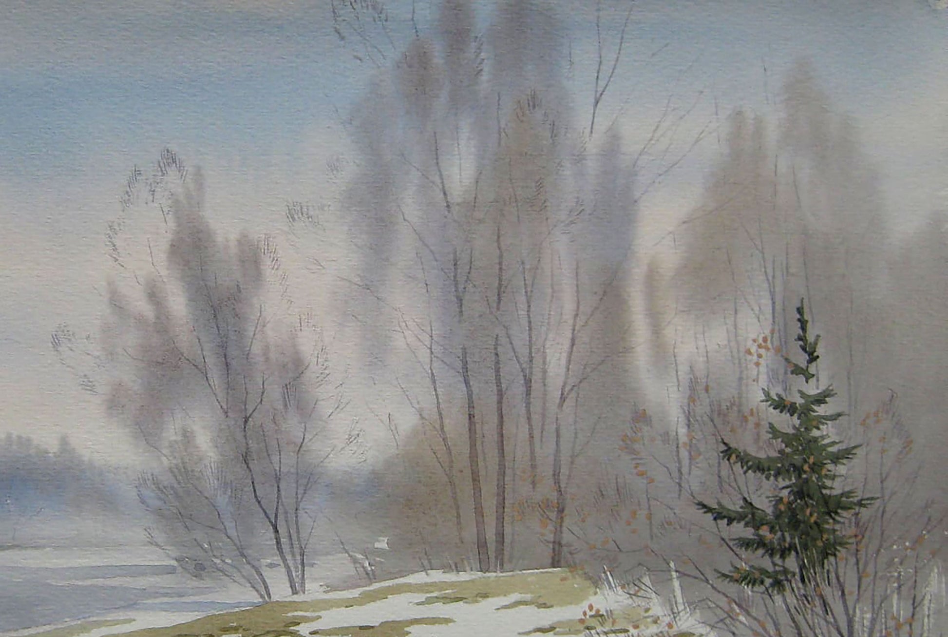 Spring Nature Landscape 