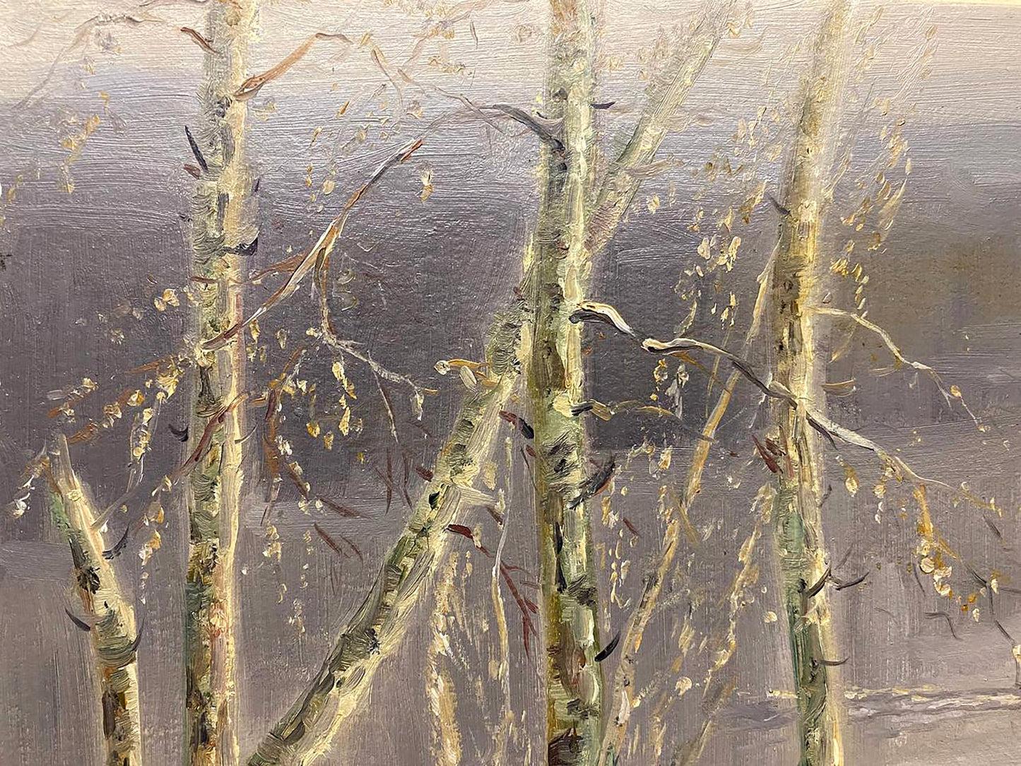 Textured oil painting of birch trees on the lake by Shariy Anatoly Ivanovich