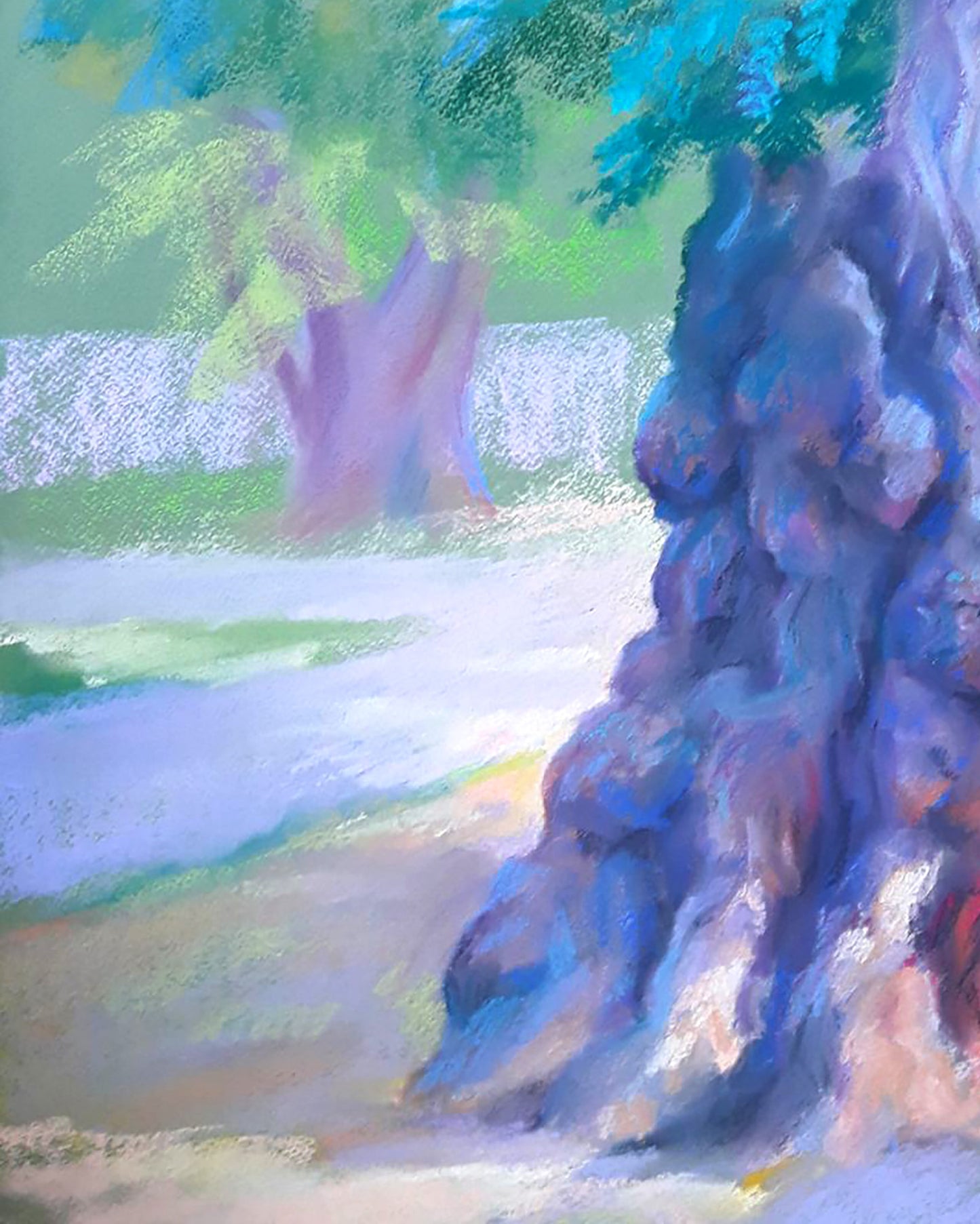 Nature Landscape 