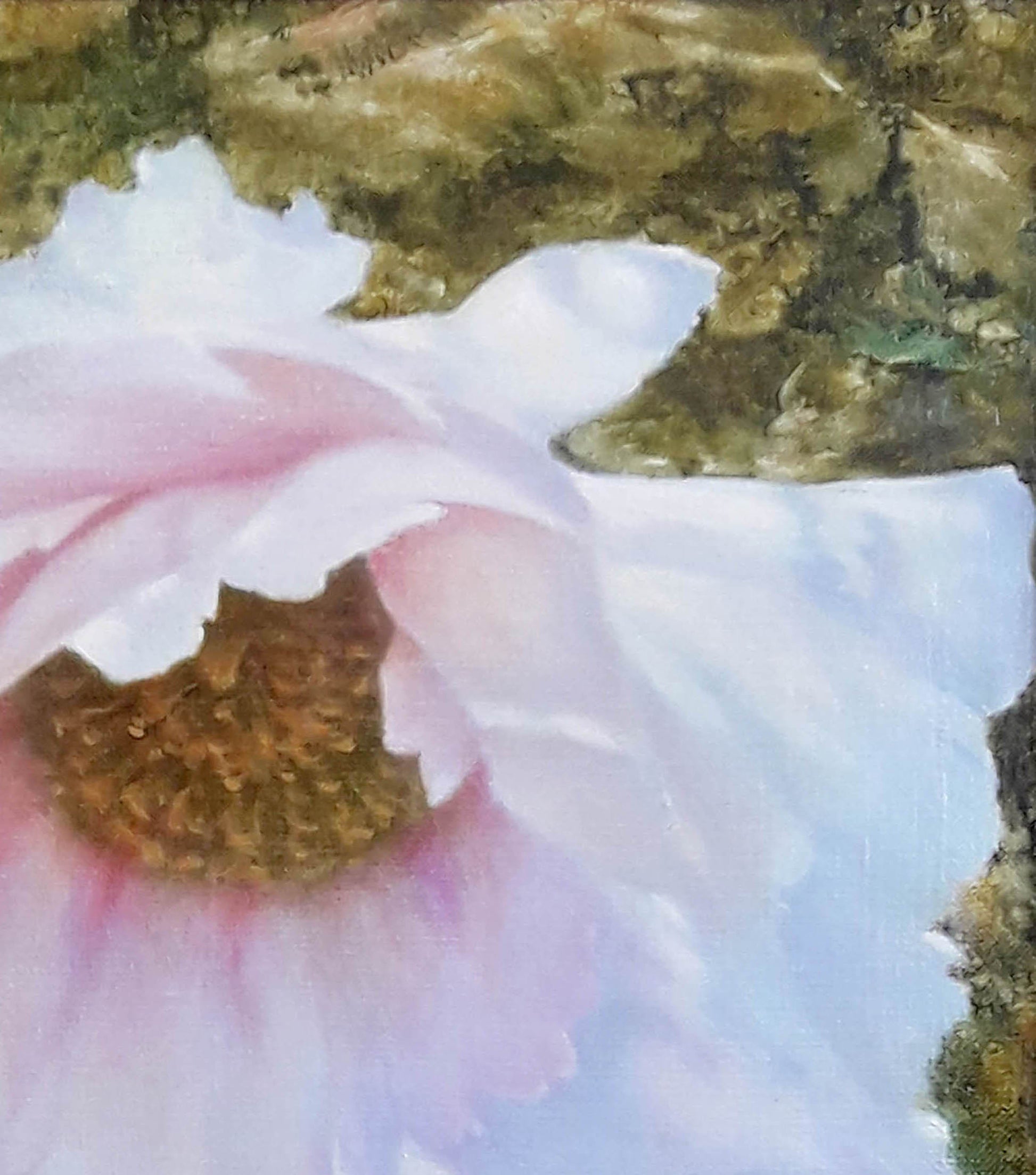 Delicate pink tree peony oil painting by Korkishko Vasily