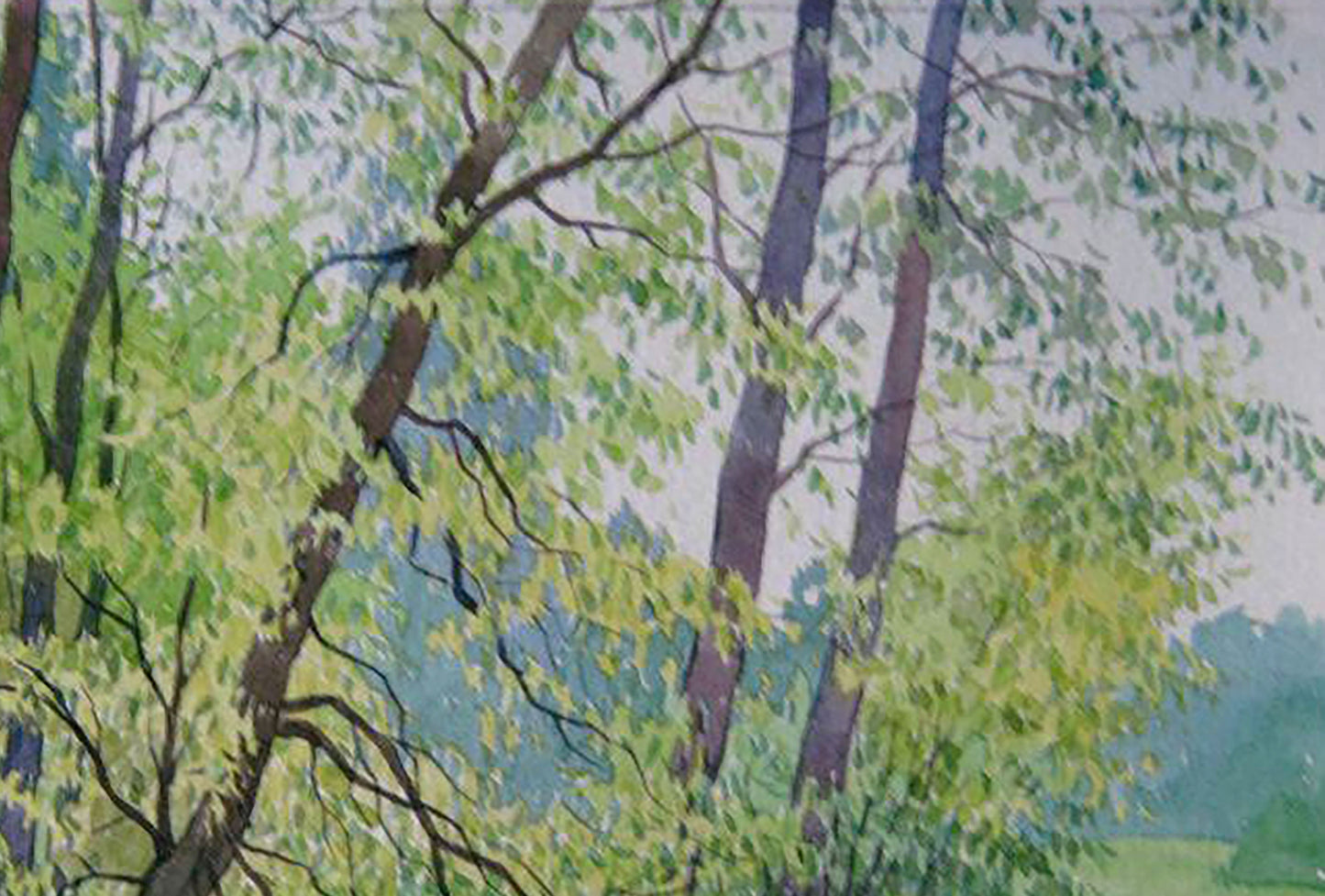 Watercolor painting Summer Forest Landscape 