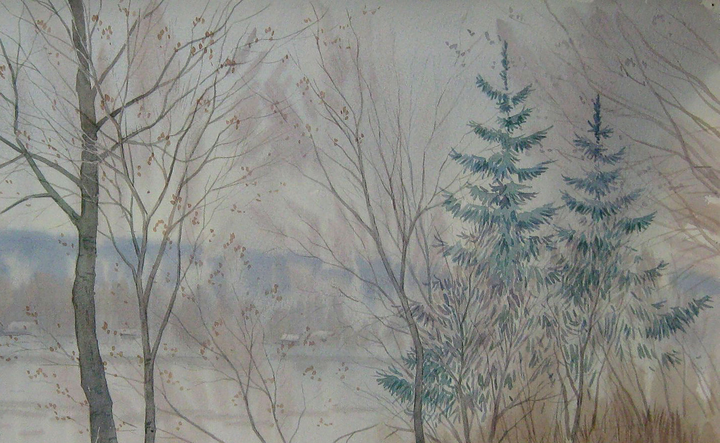 Winter Nature Landscape 
