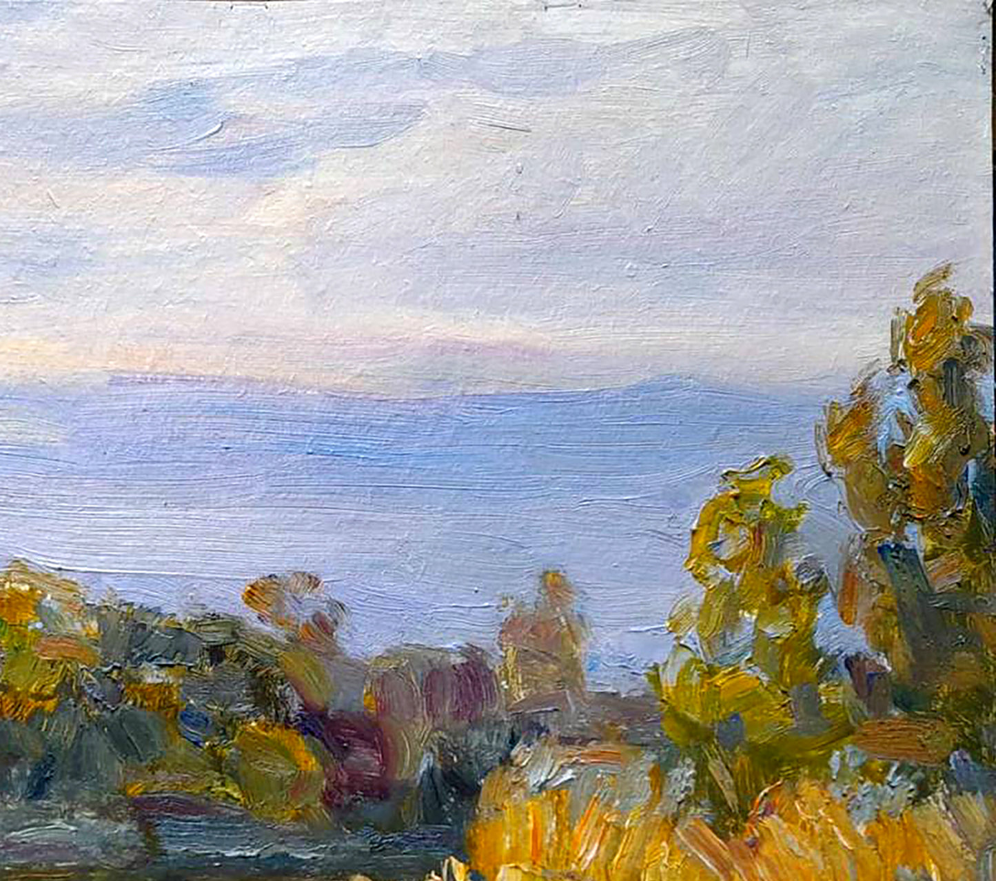 Oil painting Landscape