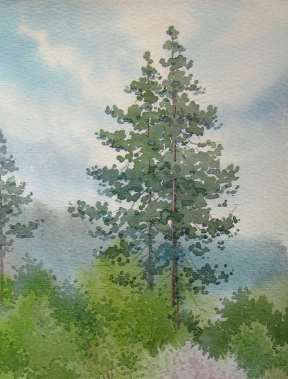Spring Nature Landscape 