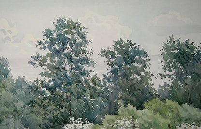 Forest Nature Landscape 