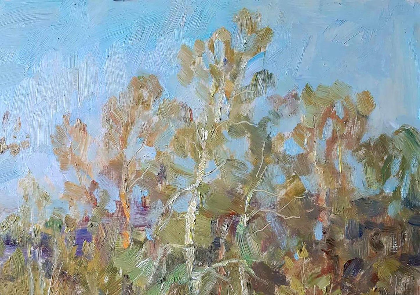 Oil painting Rural Nature Landscape 