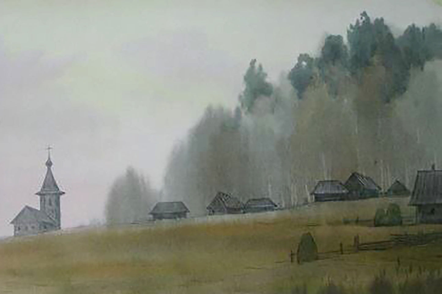 Forest Nature Landscape 