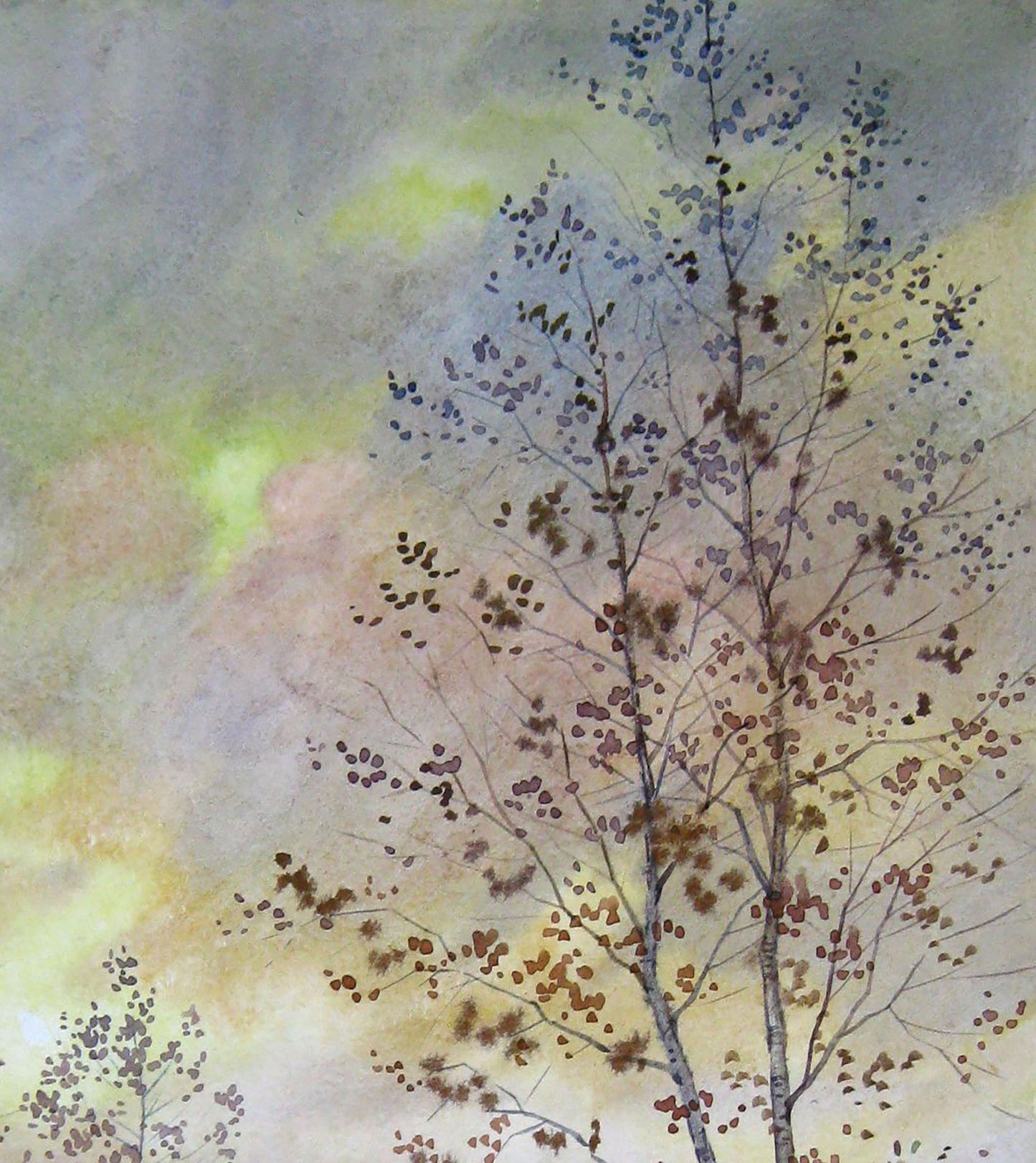Autumn Nature Landscape 