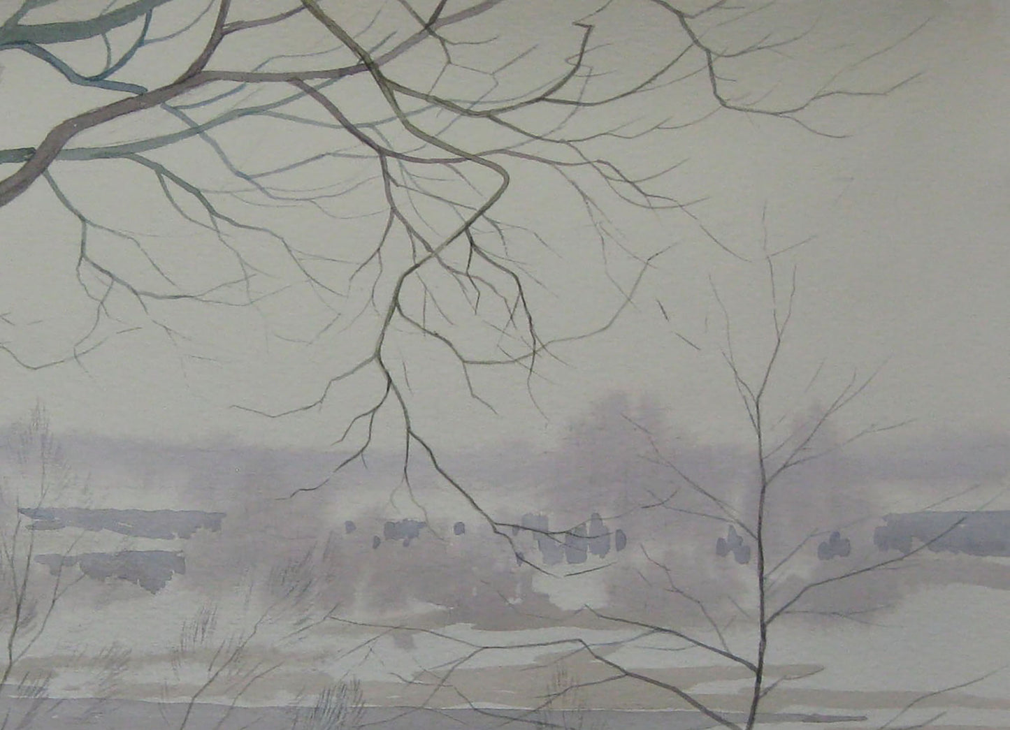 Winter Nature Landscape 