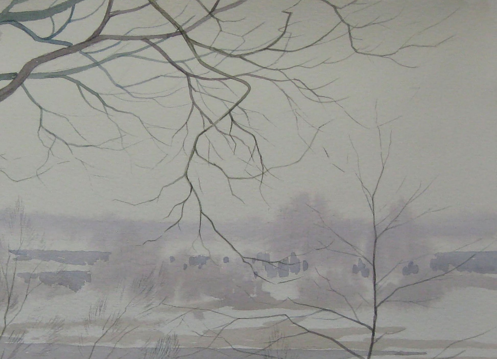 Winter Nature Landscape 