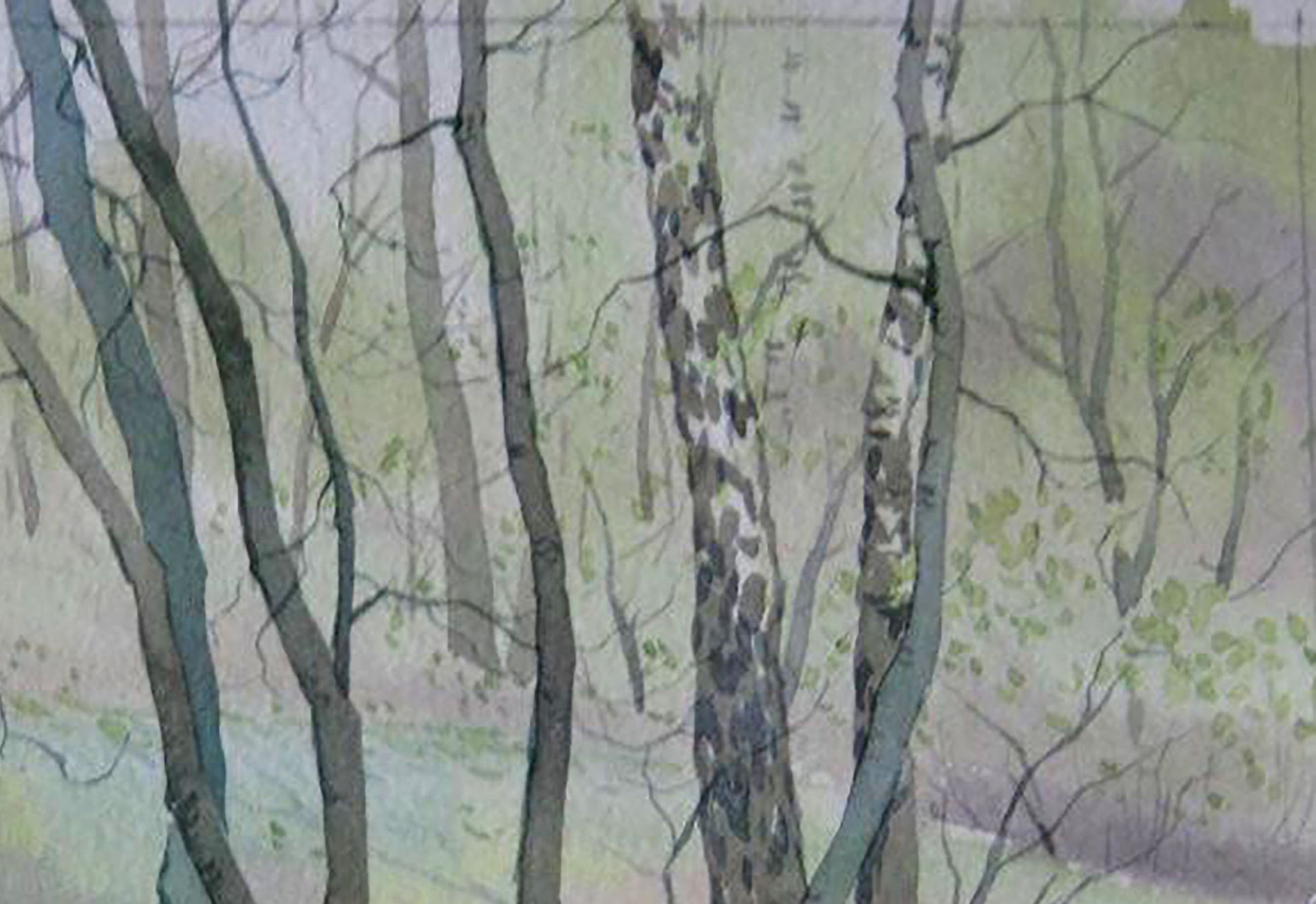 Watercolor painting Spring Forest Landscape