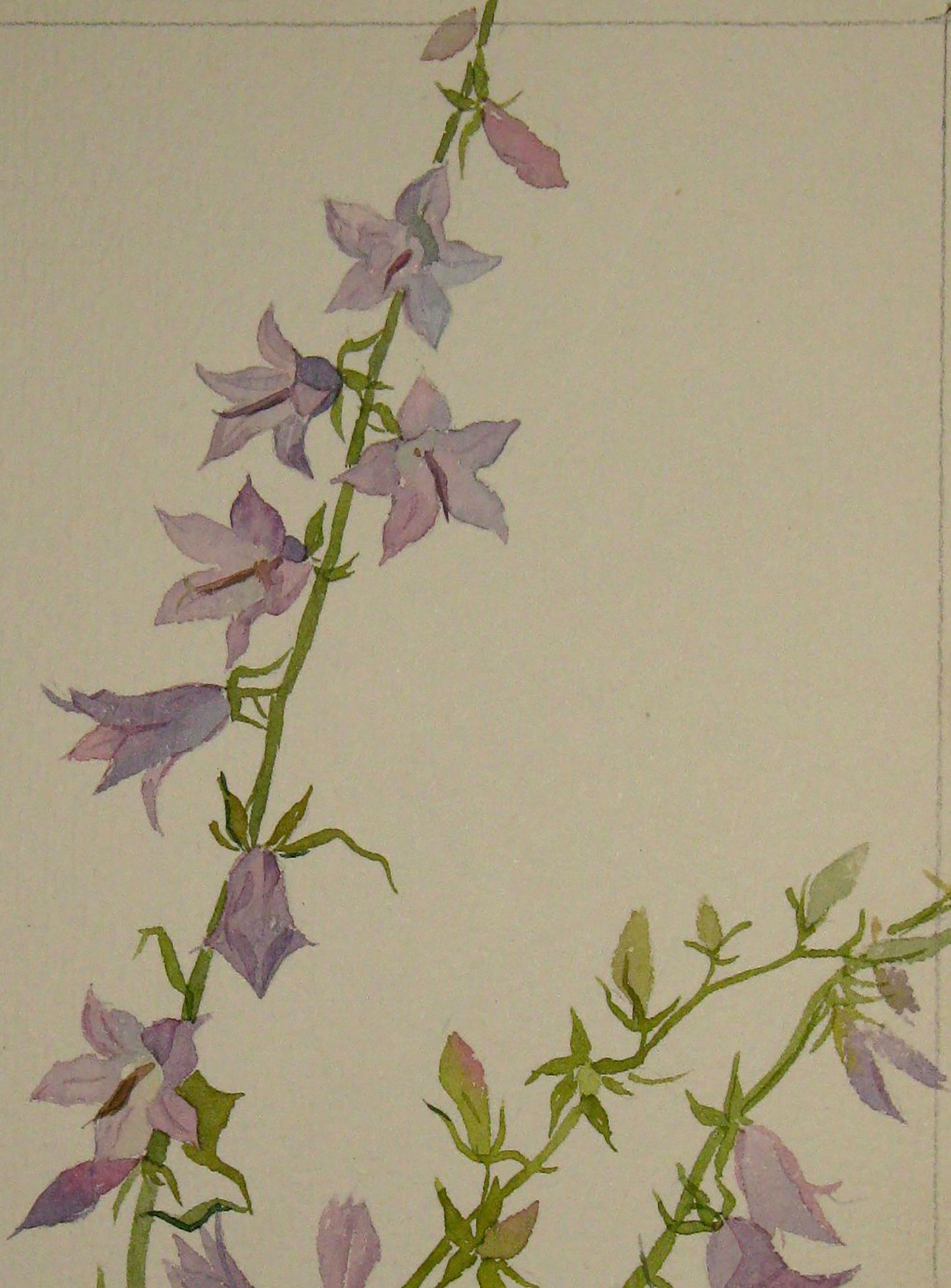 Painting with Flowers