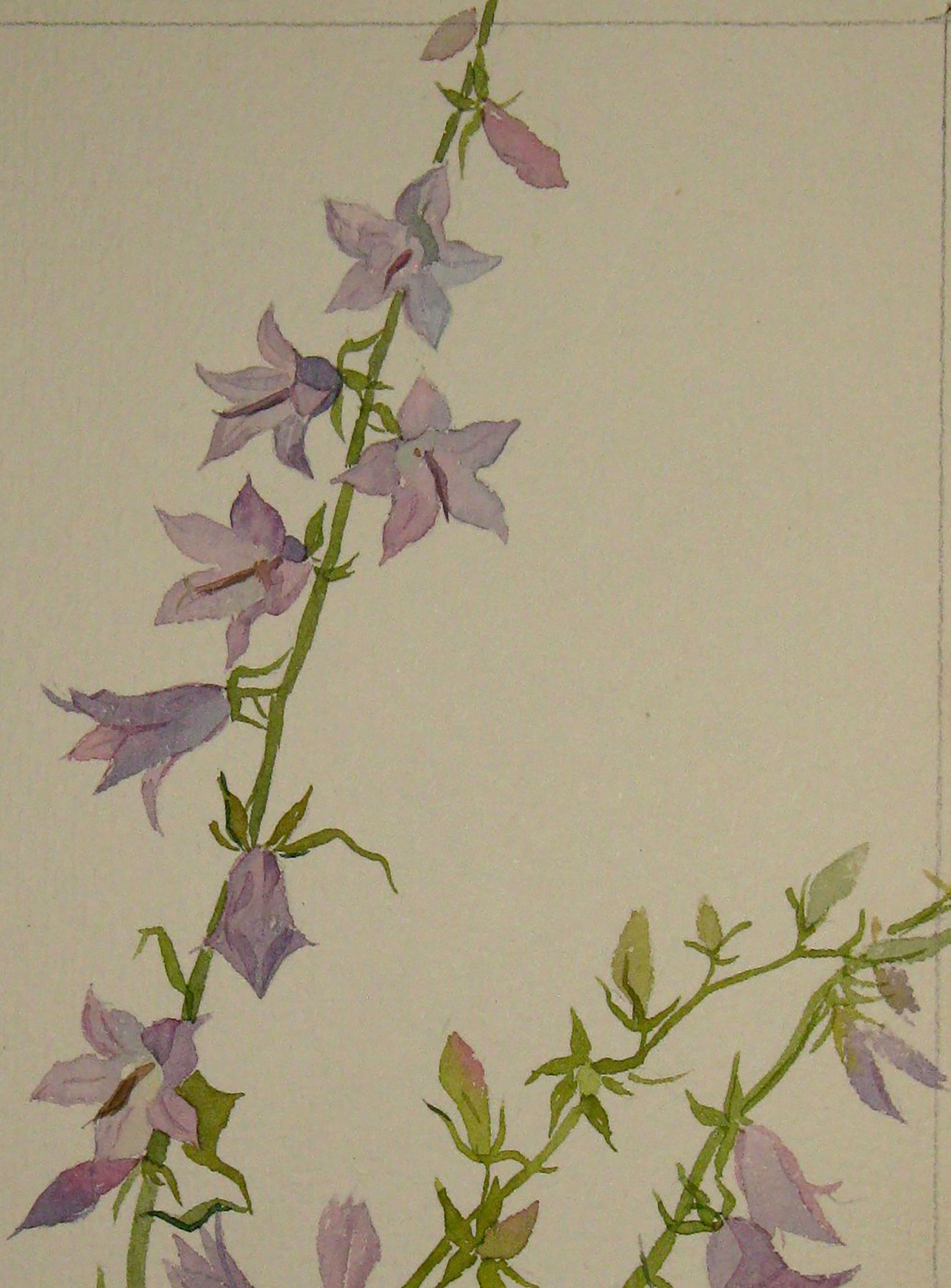 Painting with Flowers