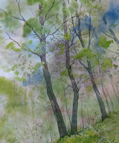 Spring Nature Landscape 