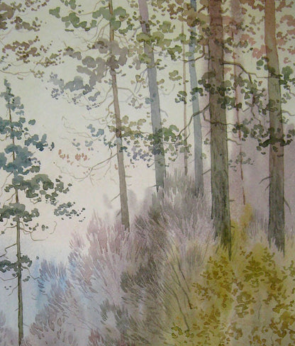 Forest Nature Landscape 