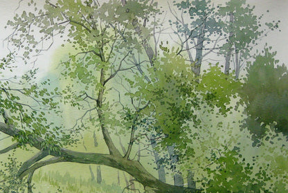 Watercolor painting Forest Nature Landscape 