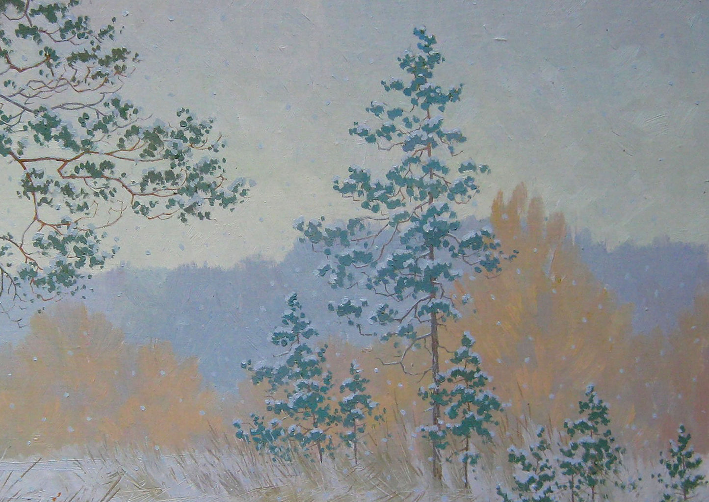 Winter Nature Landscape 