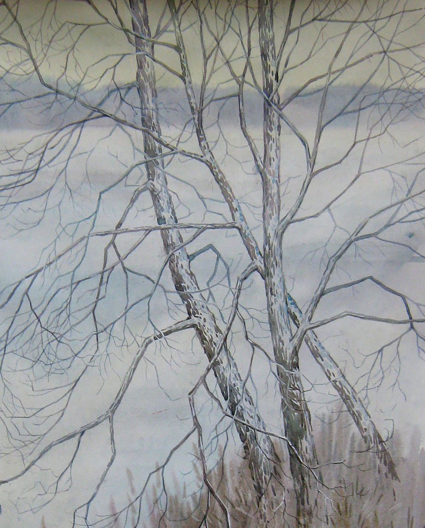Winter Nature Landscape 