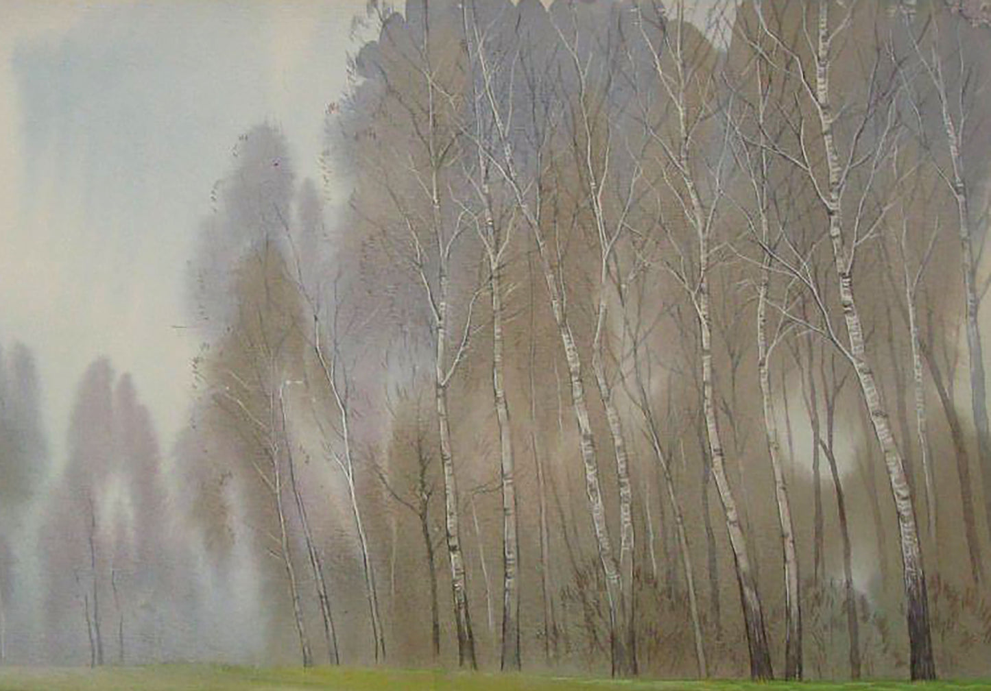 Spring Nature Landscape 