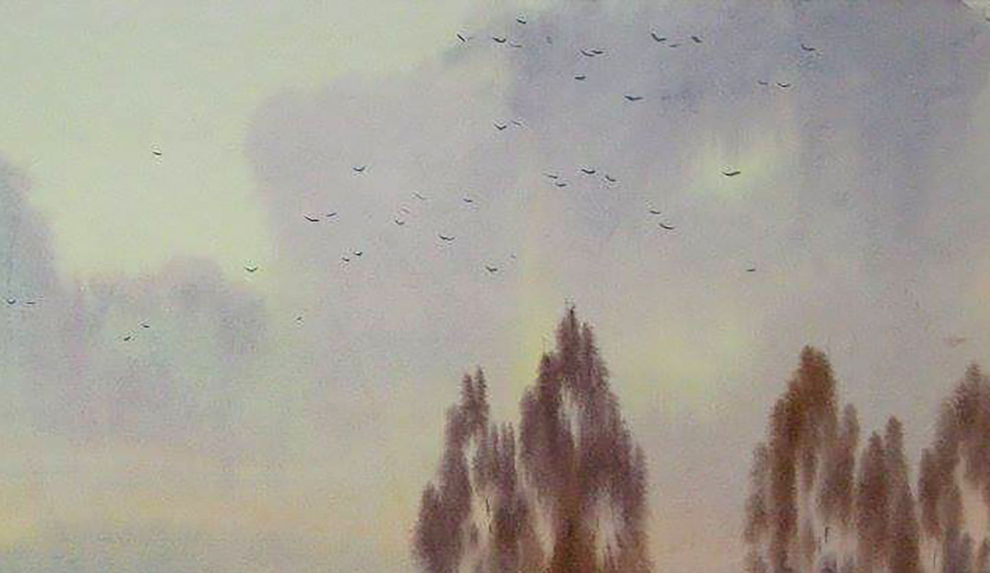 countryside Landscape 